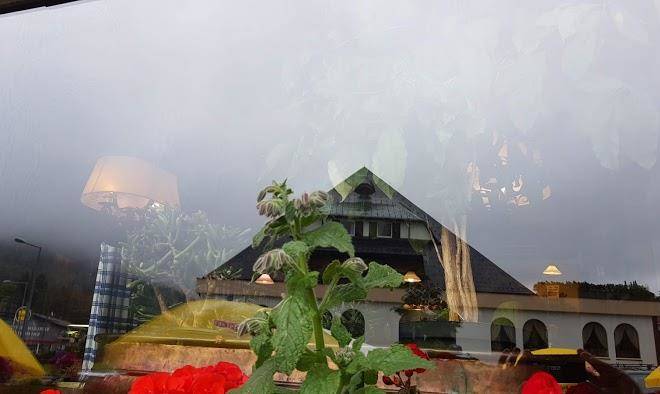 Gasthof berghof