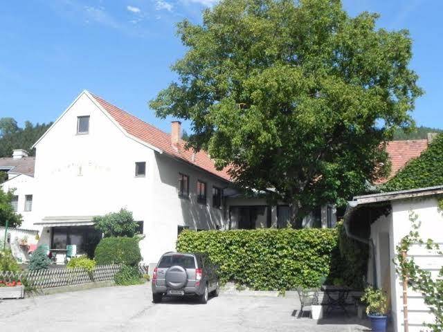 Gasthof gruner baum