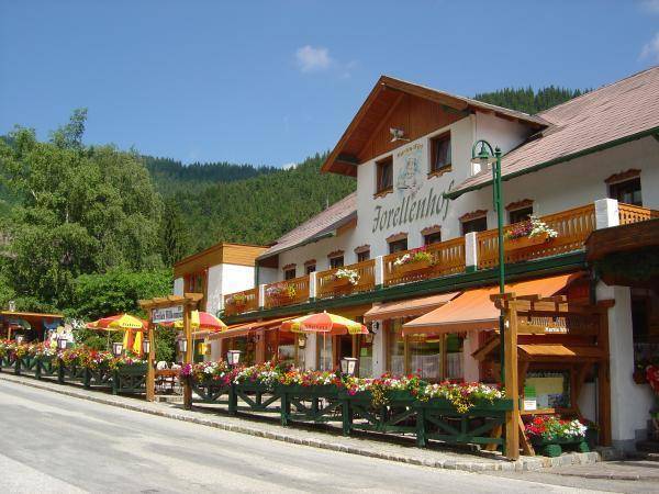 Hotel restaurant forellenhof