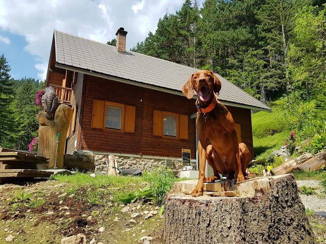 Pottschacherhutte