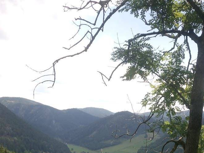 Ternitzer hutte grassinger hutte