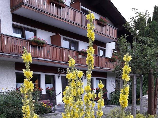 Gasthof pension geppl