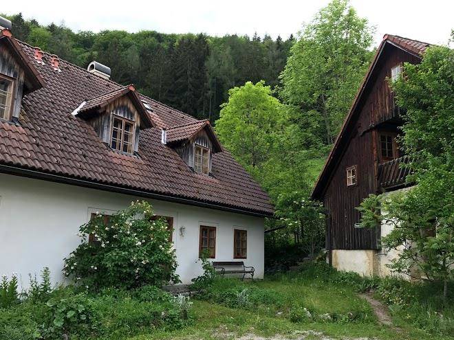 Steinschaler zunftiges & vernunftiges