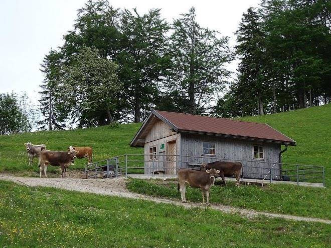 Schweinbergalm im mostviertel