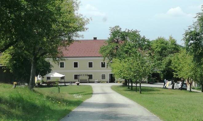 Steinursch