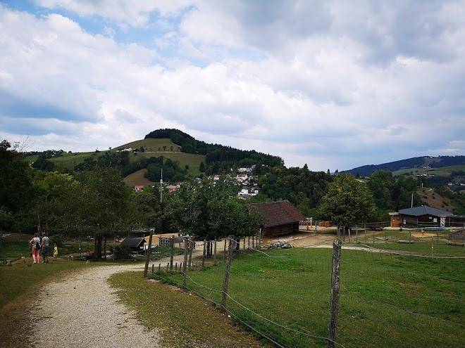 Baumhotel naturpark buchenberg