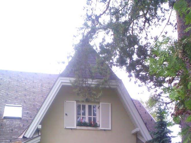 Fruhstuckspension zwinz