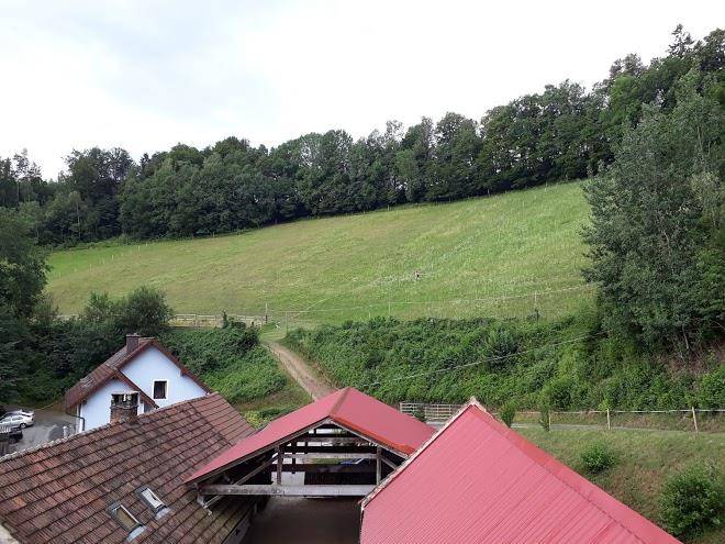 Haflingerhof luef