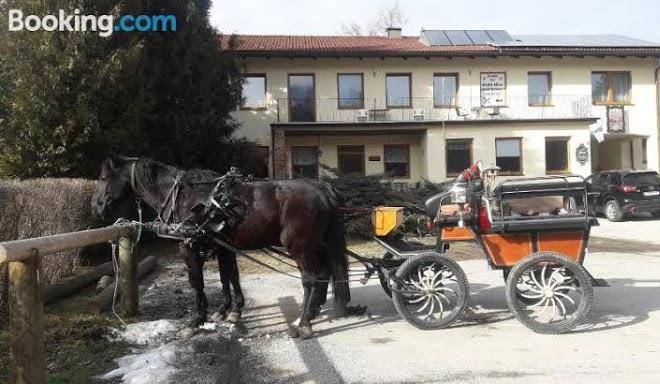 Dorfwirtshaus pension rauch robert