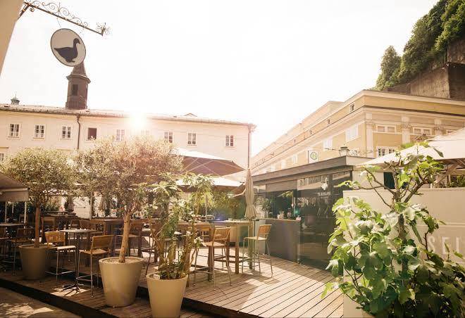 Arthotel blaue gans salzburg