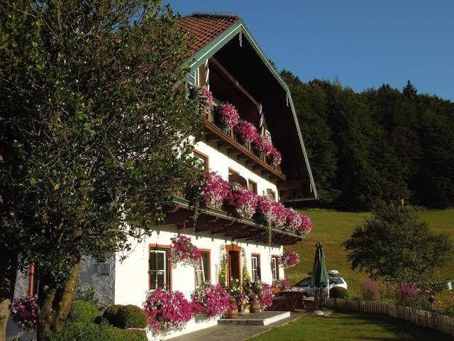 Bambichlhof