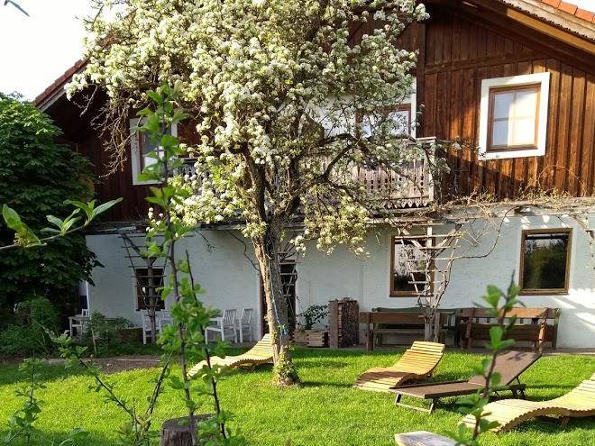 Bauernhof stefflbauer