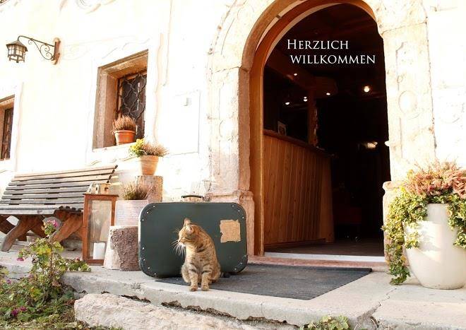 Bioarchehofzachhiesen