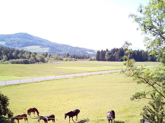 Gasthof grabensee
