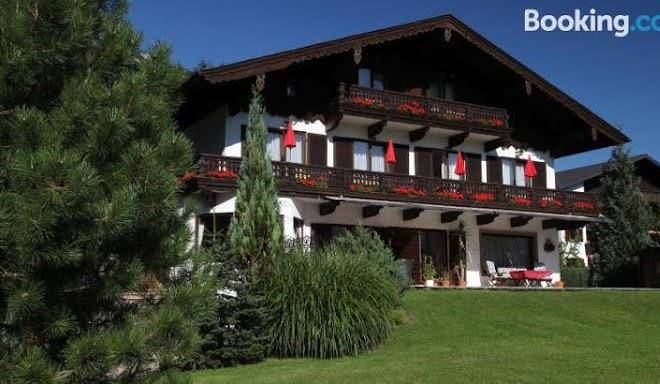 Haus seeschwalbe