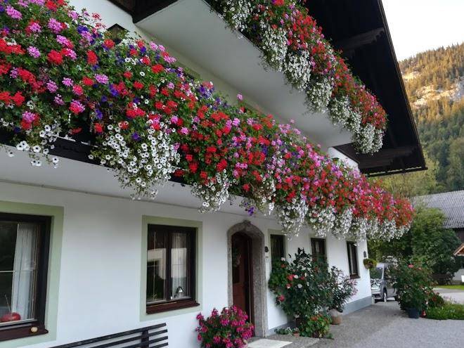 Pension treindlhof