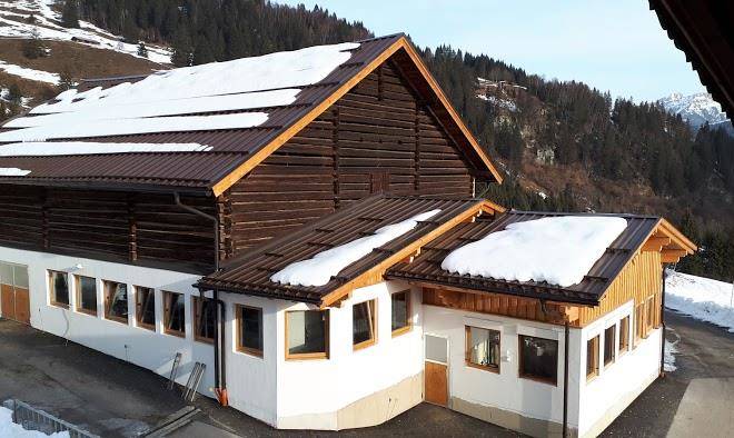 Brandebengut