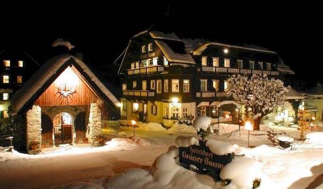 Gruner baum hotel