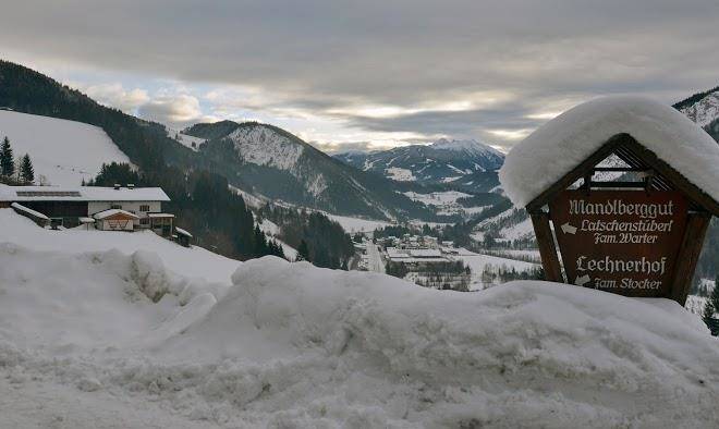 Lechnerhof