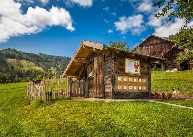 Prechtlhof in flachau