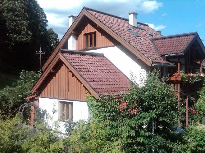 Waldsicht