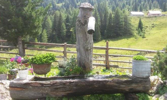 Ferienwohnungen hacklhof