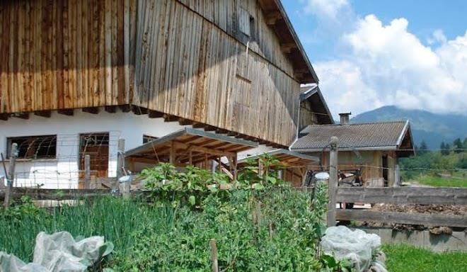 Entfeldhof und familie schernthaner