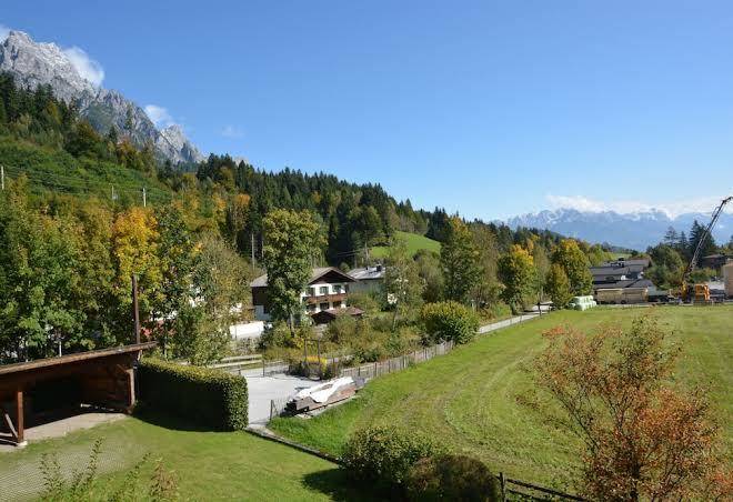 Foxes mountain view leogang