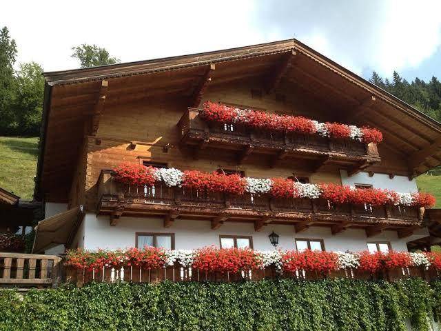 Gasthof hintergfoll
