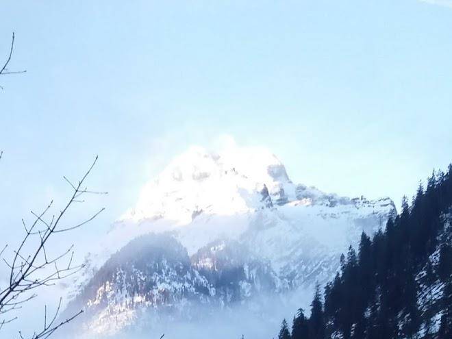 Gasthof sonnhof