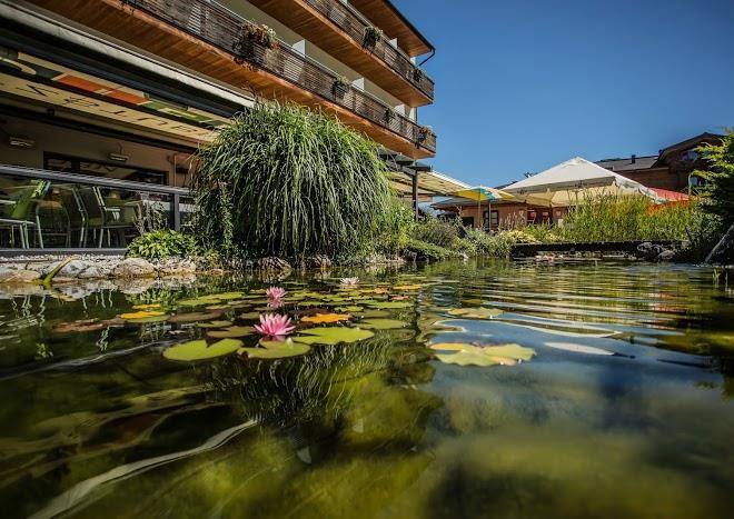 Hotel bacher asitzstubn