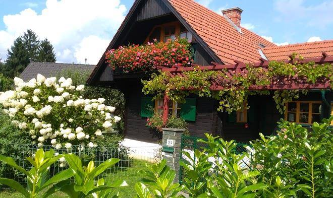 Ferienhaus erregger krainz
