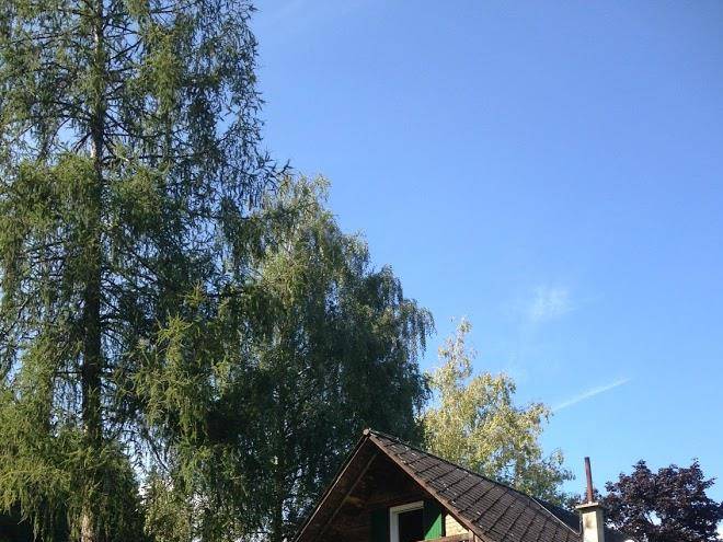Ferienhaus trausibauer
