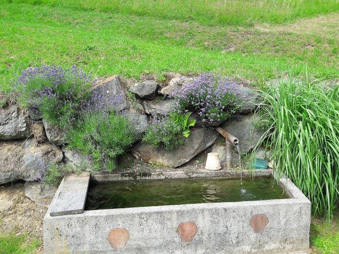 Schoberhof