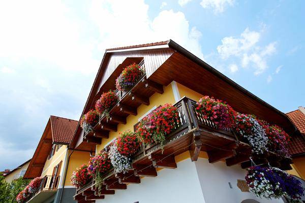 Weingut klug voltl