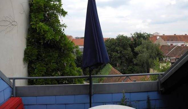 Grazer Schwalbe Image