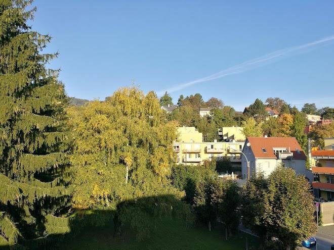 Hotel restaurant lindenwirt