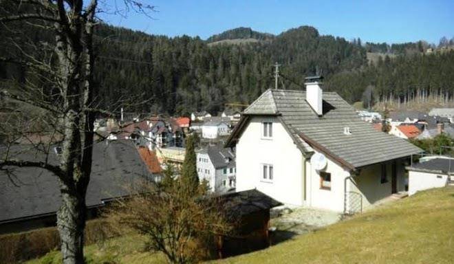 Ferienhaus in der steiermark