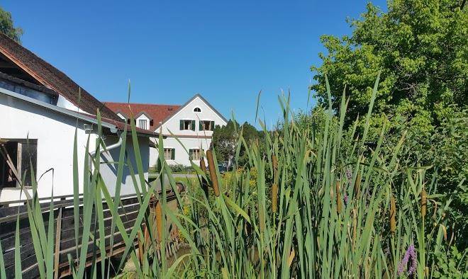 Gastehaus weingut buschenschank kleinschuster