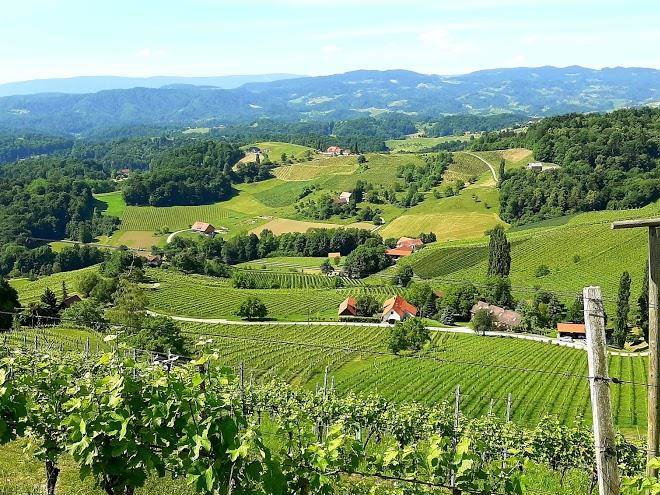 Gastehaus und weinstube marianne