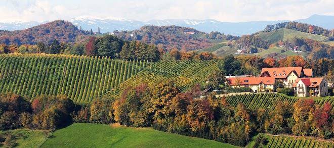 Geniesserhotel weingut restaurant wirtshaus sattlerhof