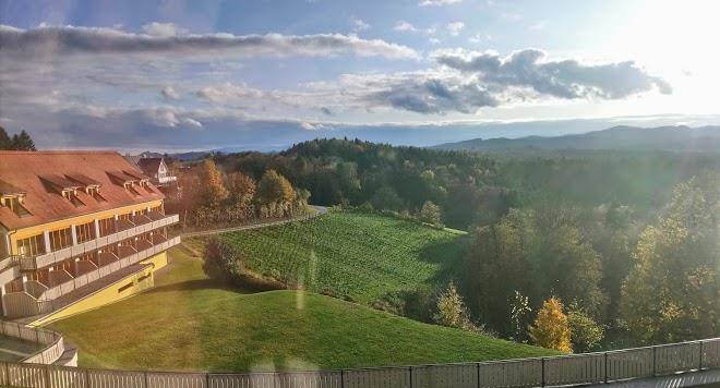 Hotel restaurant hasenwirt