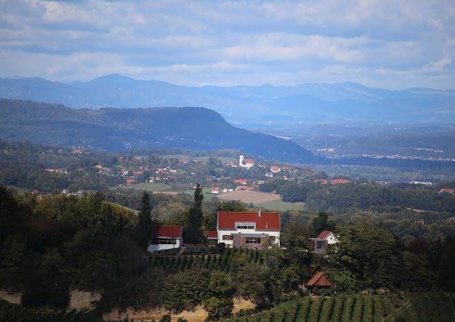 Knappenhof gamlitz weingut ferienhaus alpaka