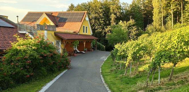 Kolb purkart weingut buschenschank schneiderannerl