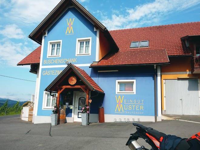 Muster bernhard weingut und buschenschank + gastezimmer