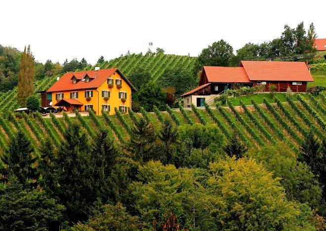 Weinbau buschenschank u gastezimmer harald legat