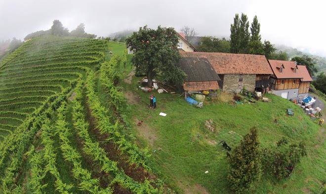 Weingut albert