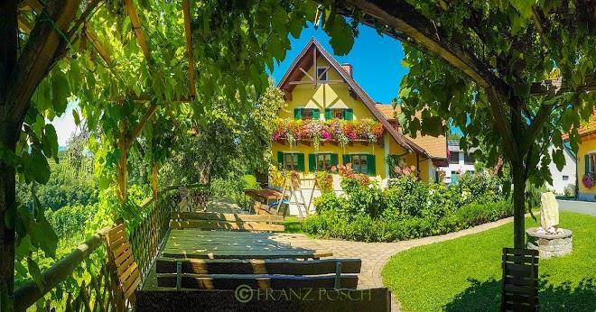 Weingut fellner