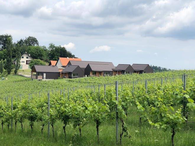 Weingut j &a skringer