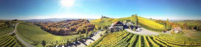 Weingut tschermonegg